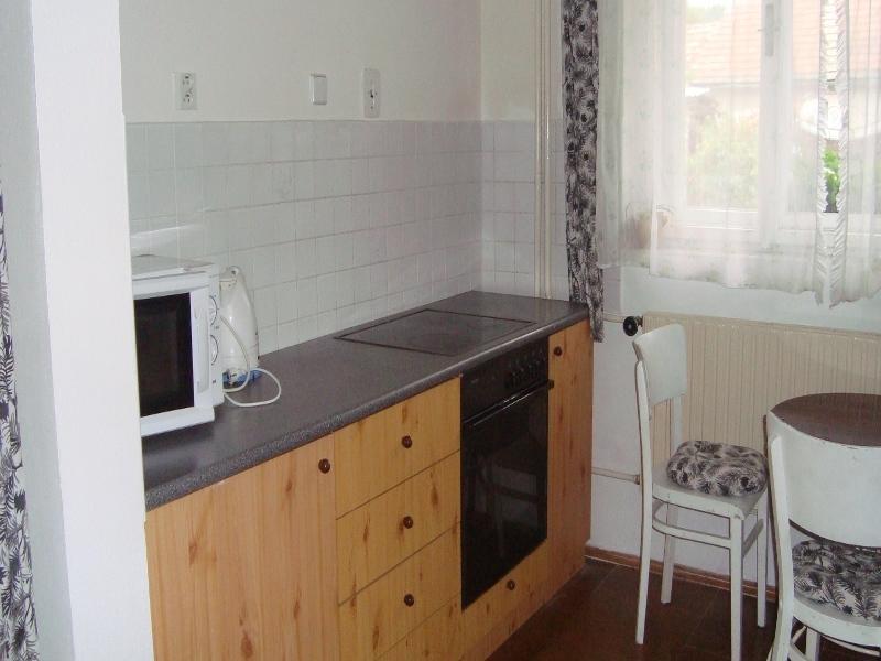 Privat Mirovice-Breznice מראה חיצוני תמונה